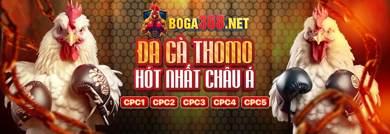 Sân chơi đá gà trực tuyến Win69 2026
