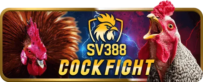 Hoàn trả cược thể thao hàng tuần Win69